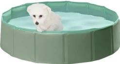 Koiran uima-allas Pet Club
