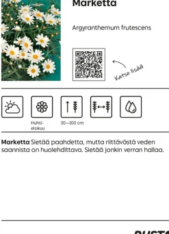 Marketta